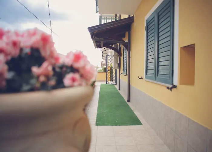 Dei Segreti & 4* Rose